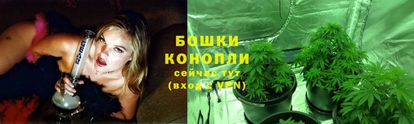 стаф Арсеньев
