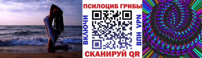 Галлюциногенные грибы Psilocybine cubensis  Первомайск 